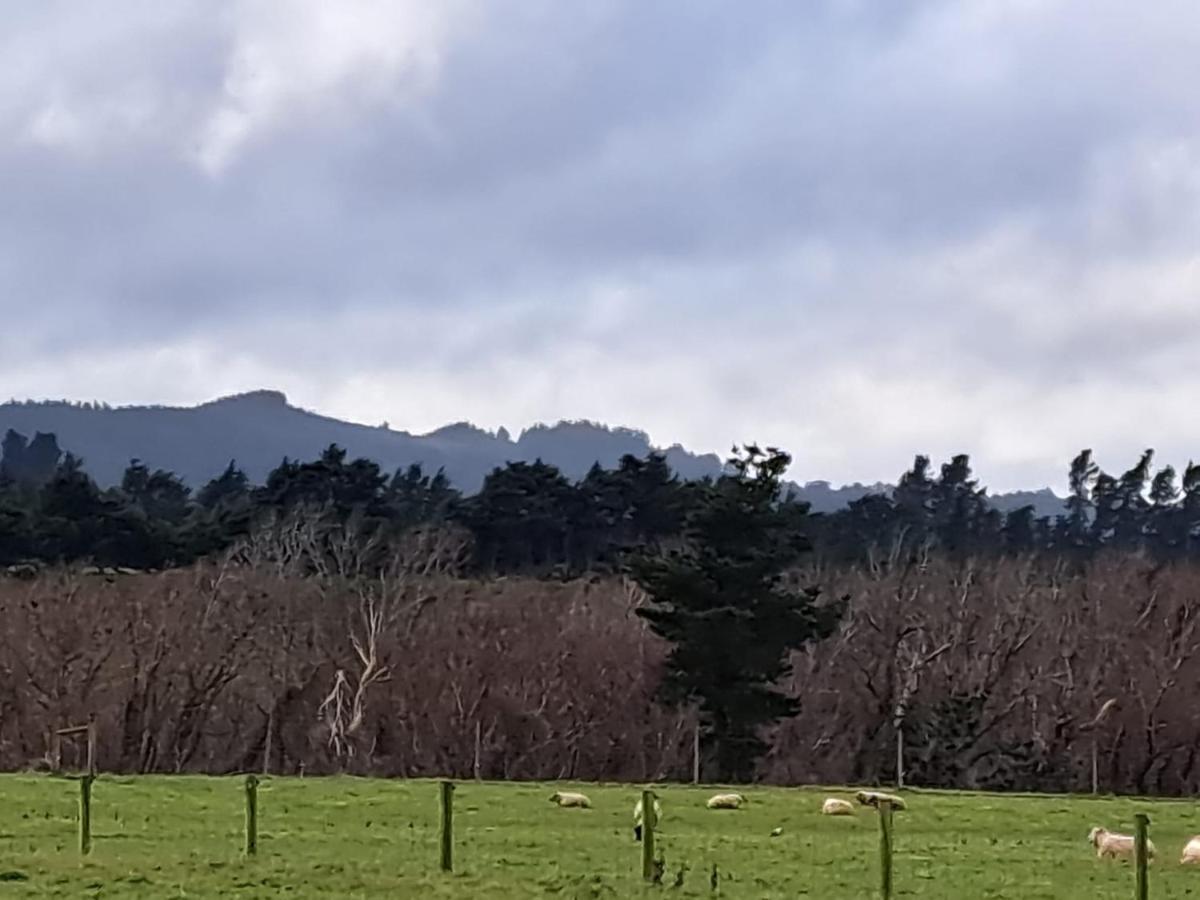 Gunyah Country Estate Villa Windwhistle Bagian luar foto